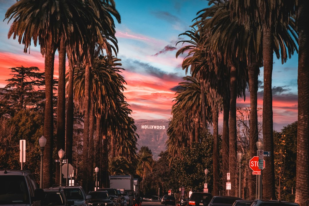 Hospital Discharge After Knee Surgery: Booking an LA Koreatown Taxi for a Safe Ride Home